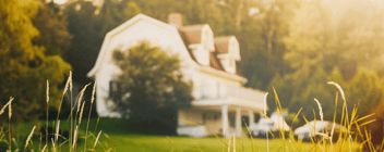 Rooted in Purpose: Crafting the Brand for Wild Root Haven Properties
