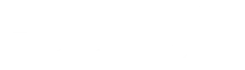 White HubSpot logo